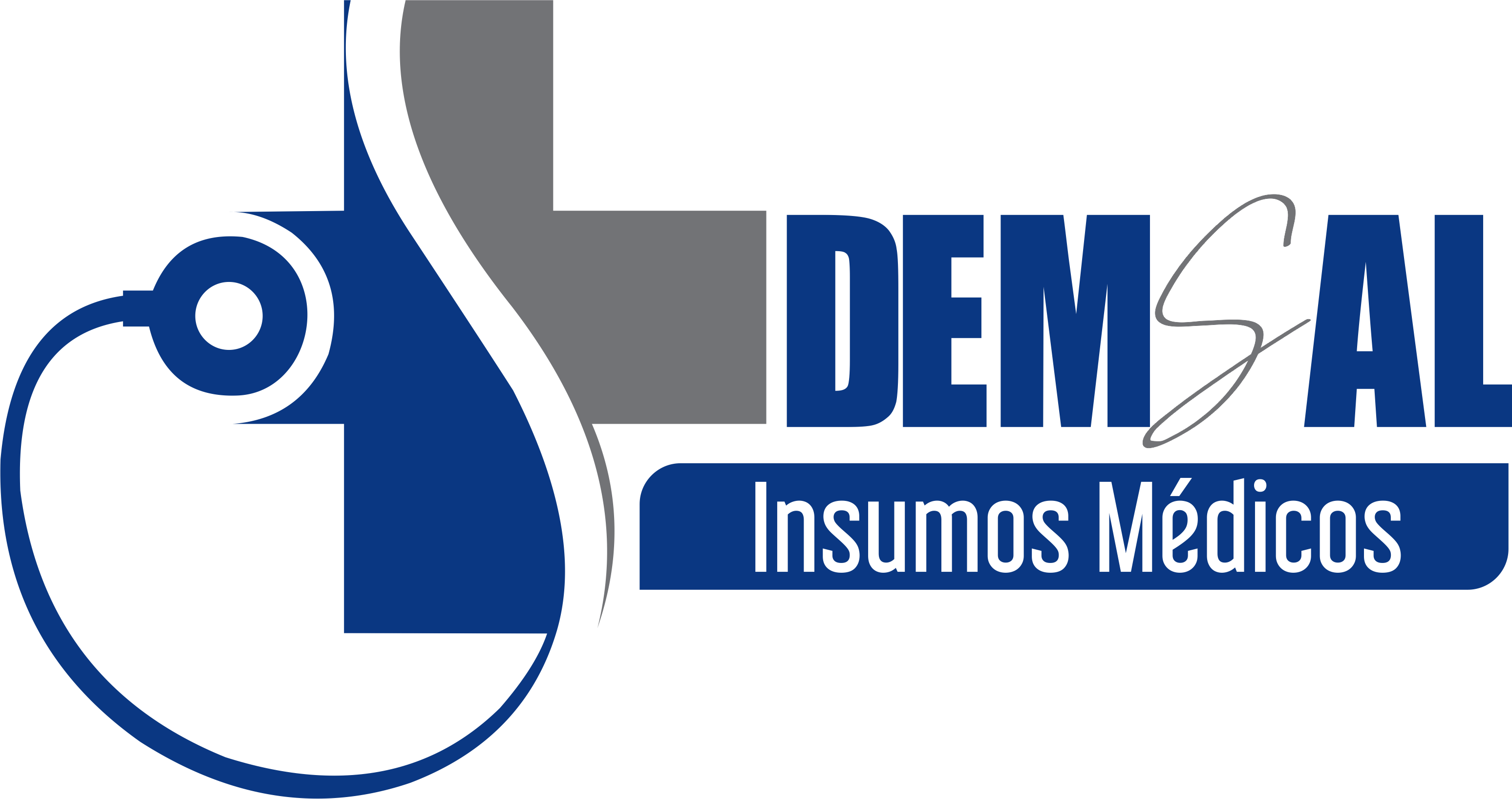 logo demsal png